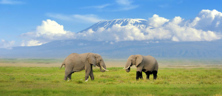 Last Minute Kenia - Günstige Angebote für Urlaub am Meer